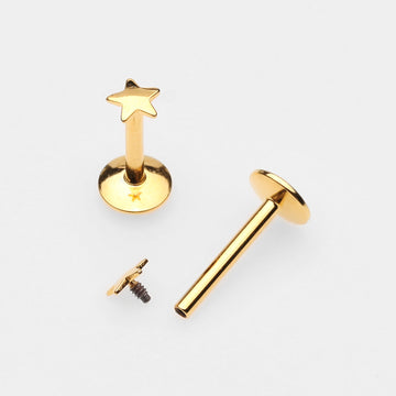 Detail View 1 of Golden Dainty Star Top Internally Threaded Labret